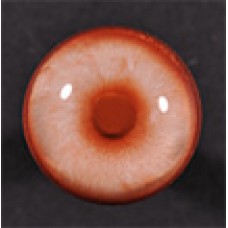 16mm Albino Eye (pink Iris Red Pupil)