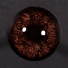 22mm Dark Brown Round Pupil