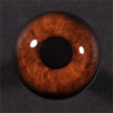 22mm Medium Brown Round Pupil