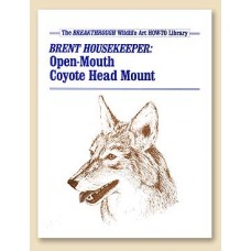 Open Mouth Coyote   