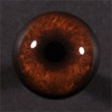 20mm Hazel/brown Round Pupil