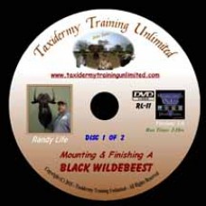 Randy Life - Mounting & Finishing a Black Wildebeest