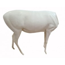 FDKS467 Lifesize Standing Fallow Deer No Head