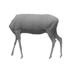 RDKS183 Red Deer Life Size Red Standing  No Head
