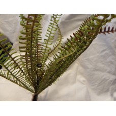 F2513 Light Green & Brown Fern 40cm