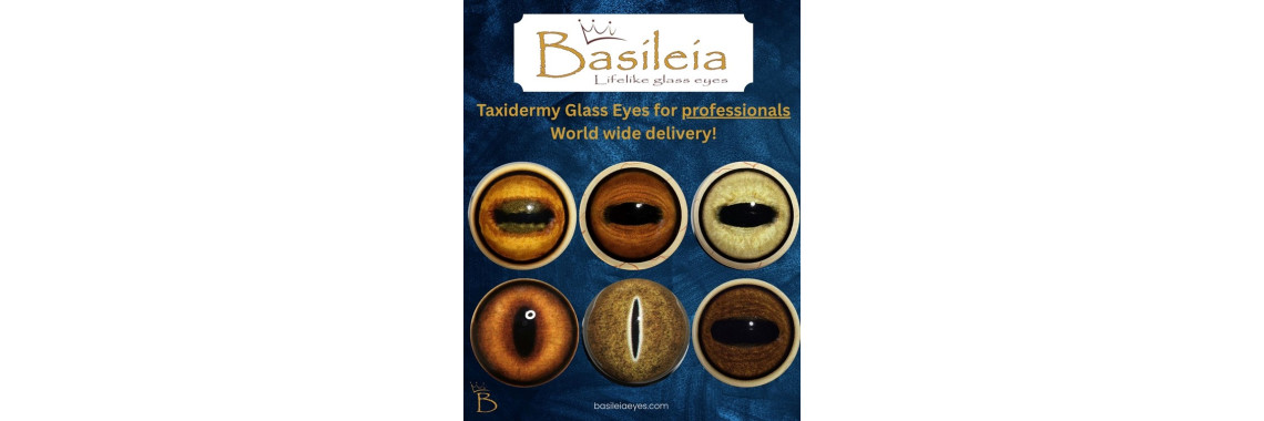 basileia glass eyes 3