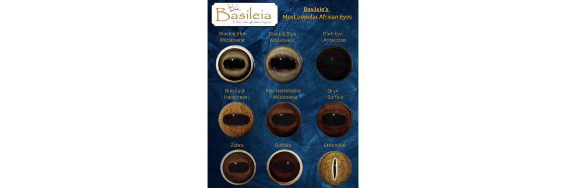 basileia glass eyes 5