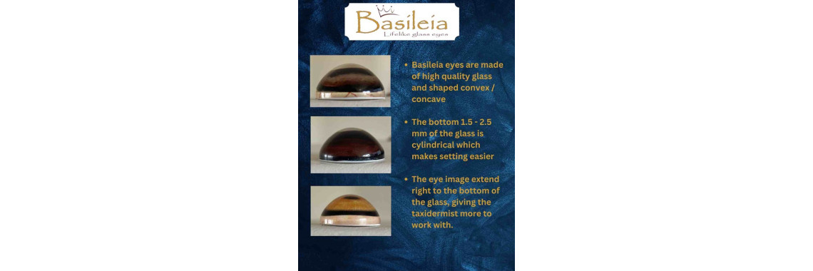 basileia glass eyes 2