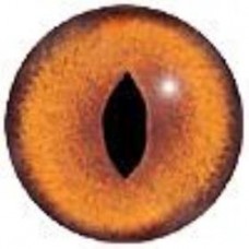 16mm Orange Cat Eye (pair)